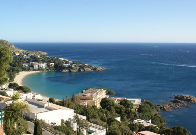 Apartamento en Rosas / Roses - Apartamento frente al mar centro Roses AV-59 Apartamento en Rosas / Roses - Apartamento frente al mar centro Roses AV-59